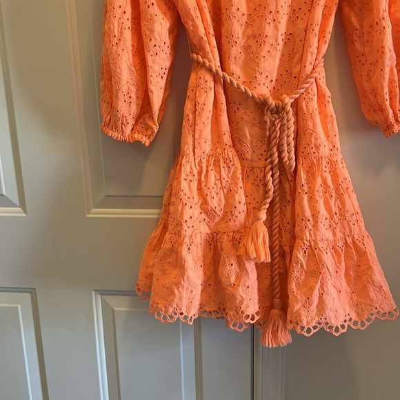 Lilly Pulitzer M Kayla Sleeved Rivera Eyelet Dress Size L also have a M listing - Picture 5 of 6